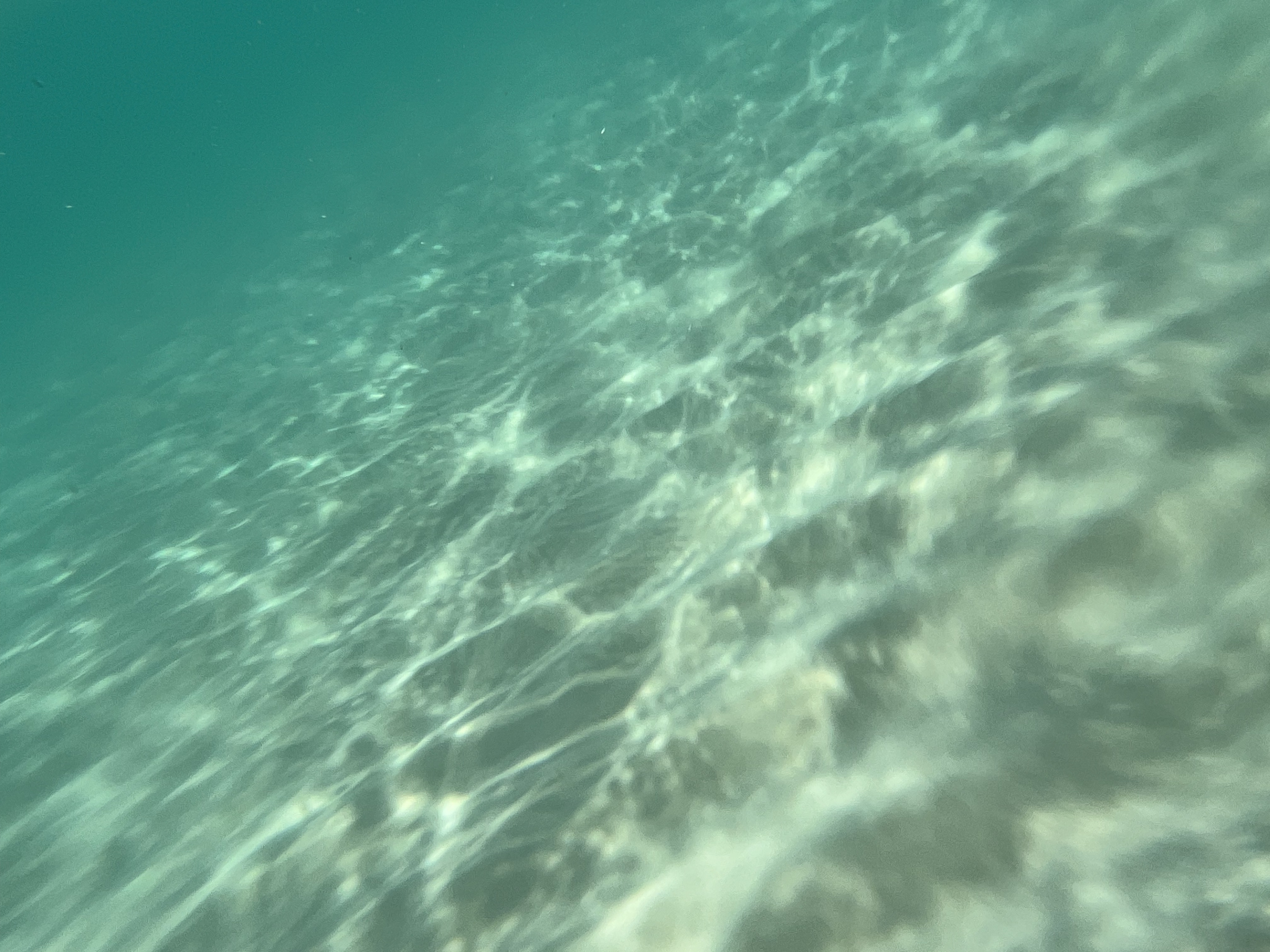 透明感あふれる海